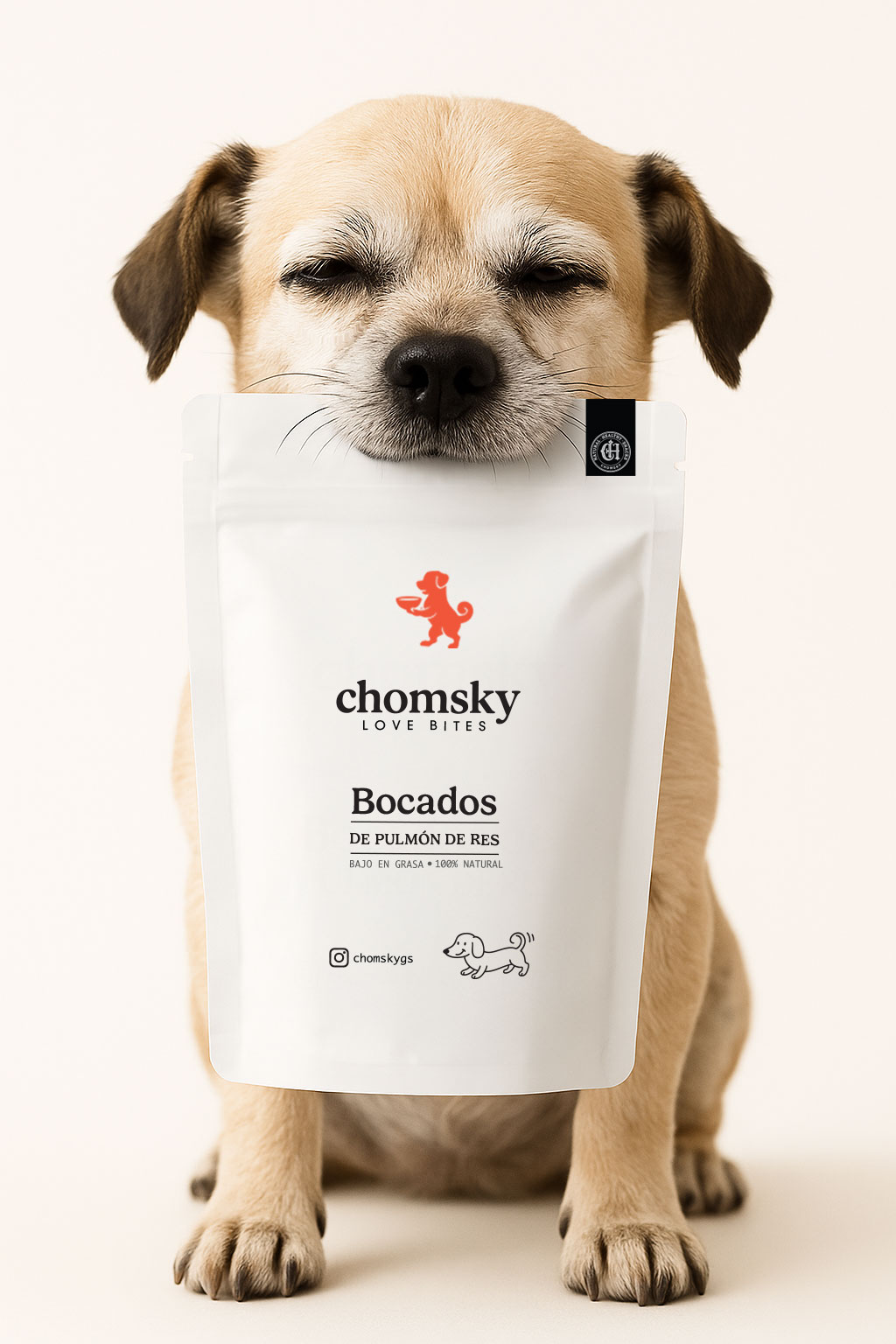 Perro feliz con un snack Chomsky